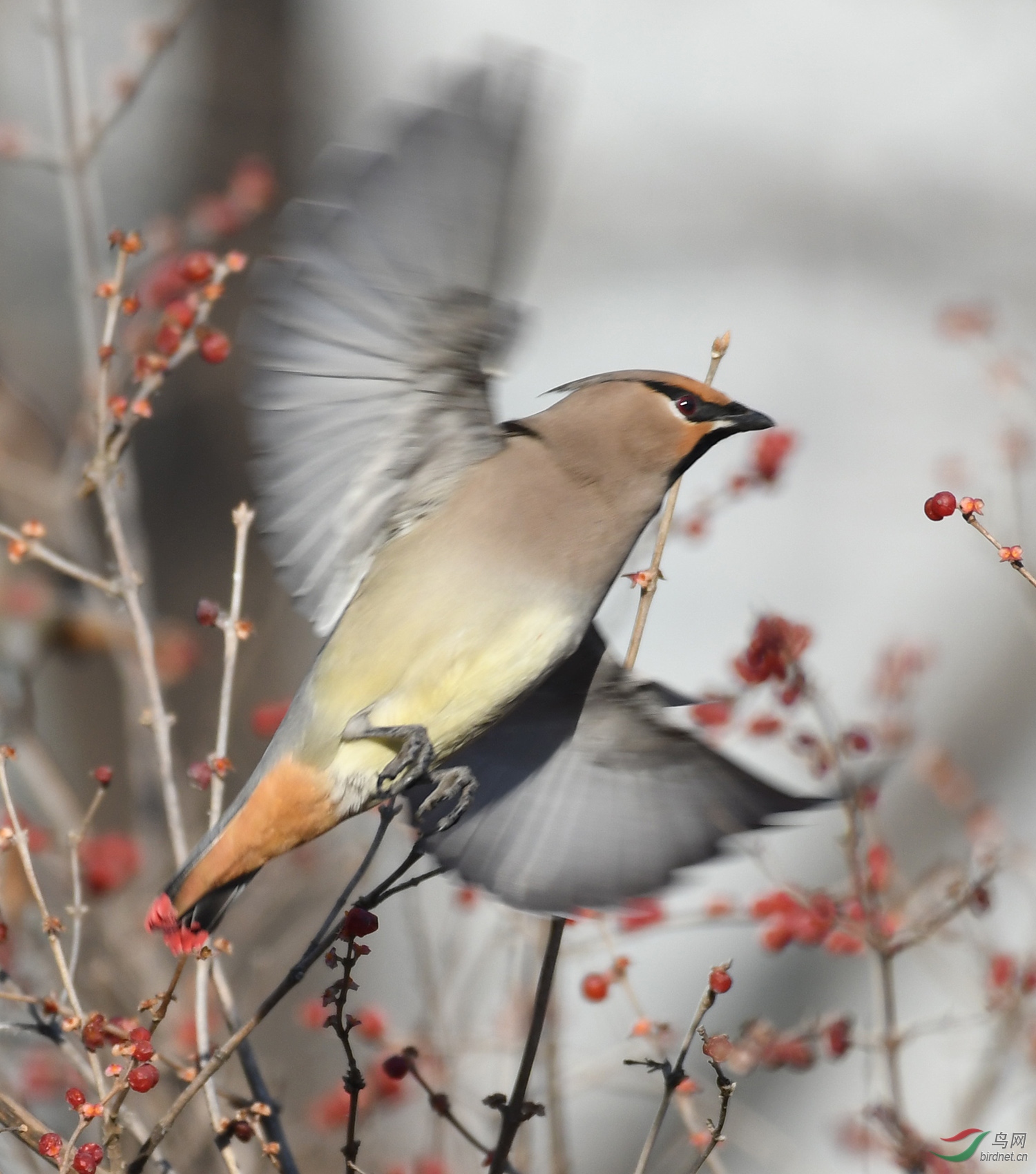 ������Ӱ 1104����.jpg