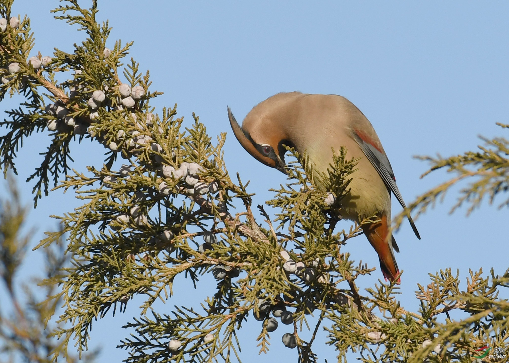 ������Ӱ 1512����.jpg