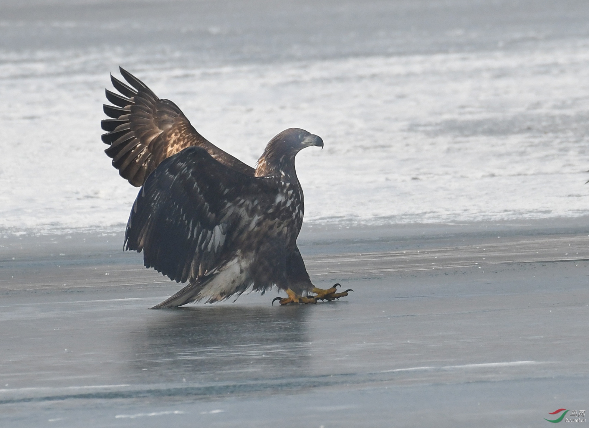 ������Ӱ 234����.jpg