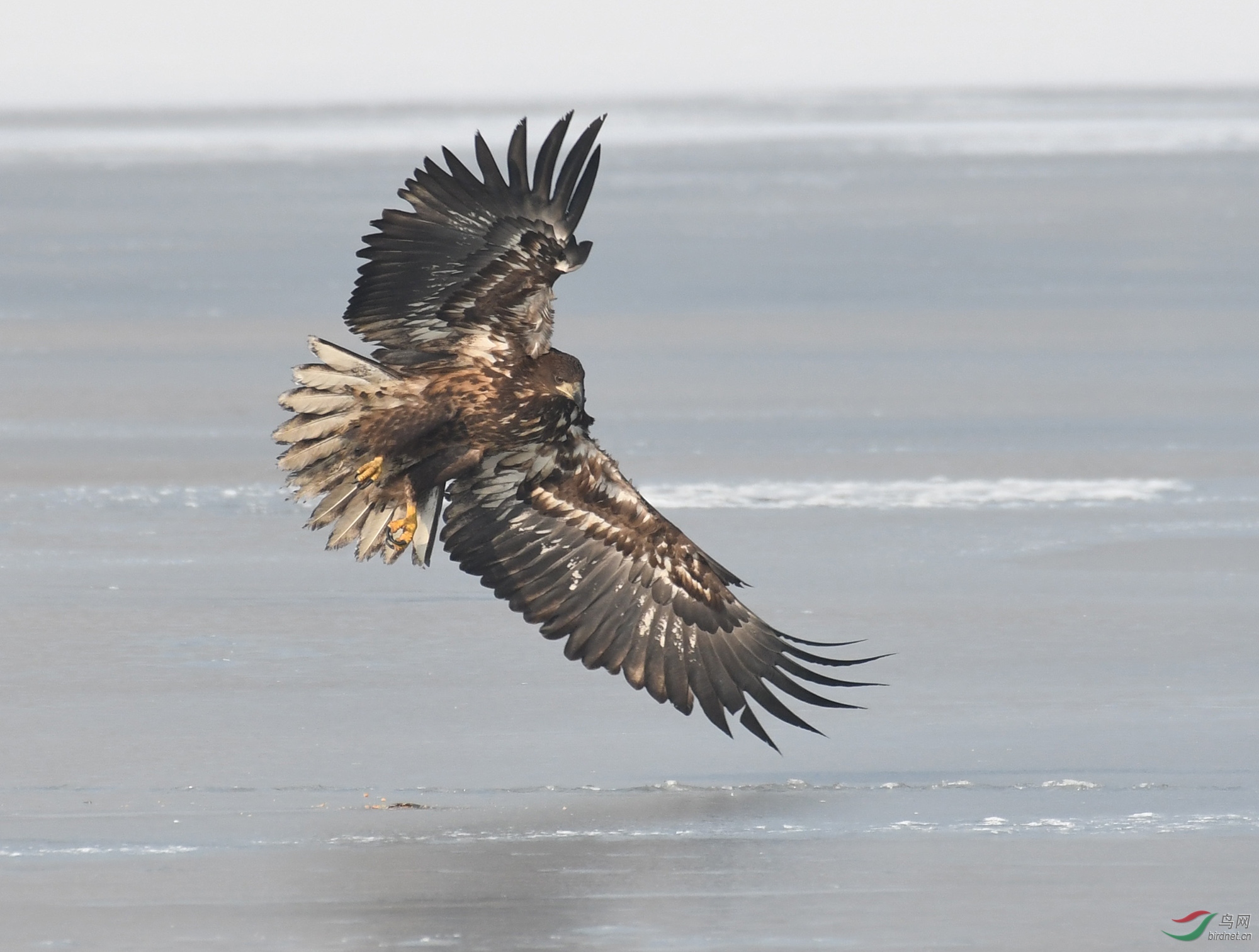 ������Ӱ 357����.jpg