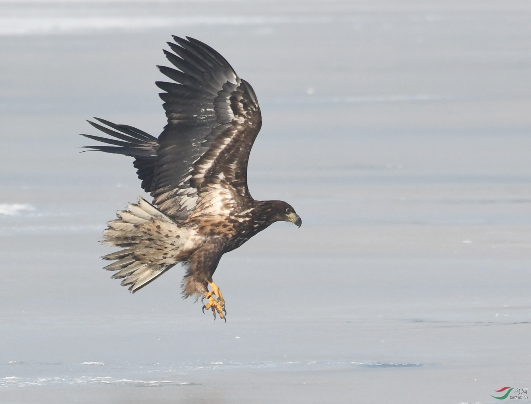 ������Ӱ 365����.jpg