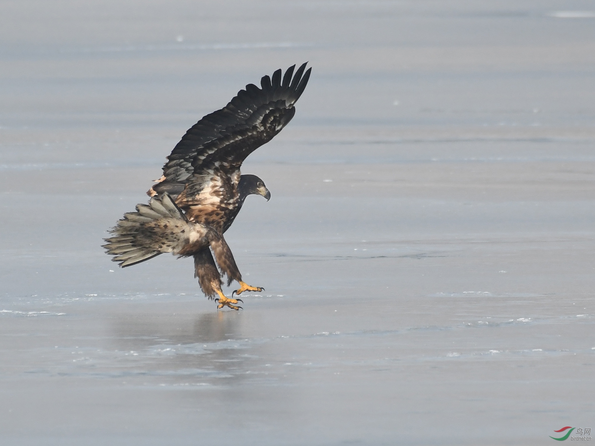 ������Ӱ 367����.jpg