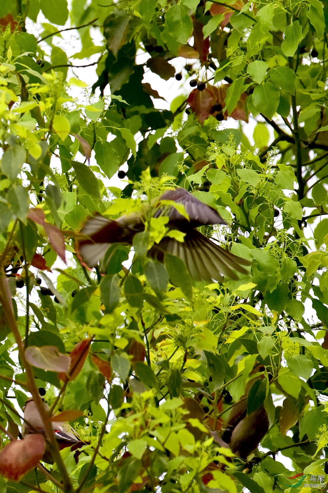 DSC_1201.JPG