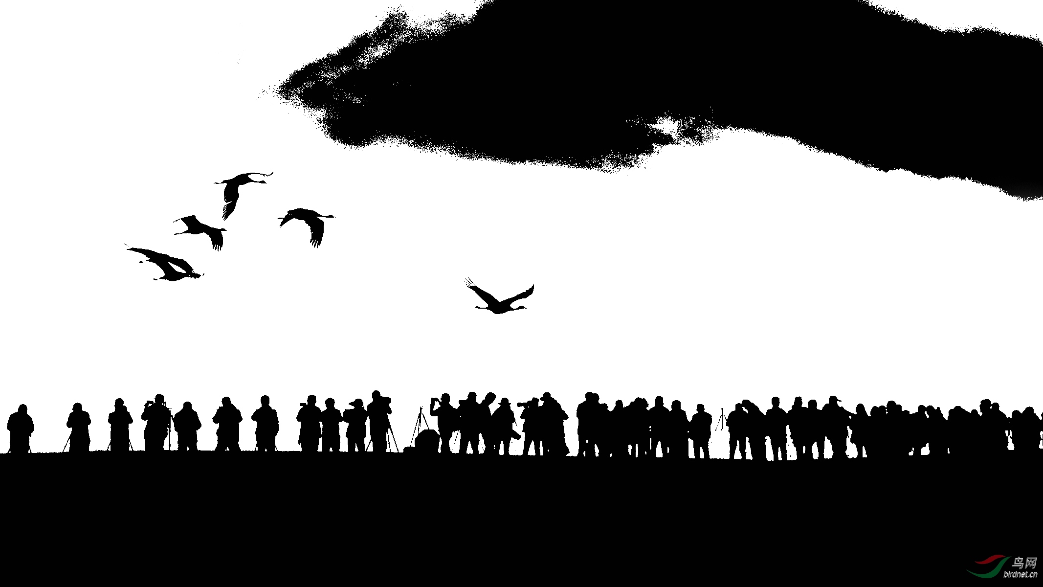 LYK_5998_����_���� ����.jpg