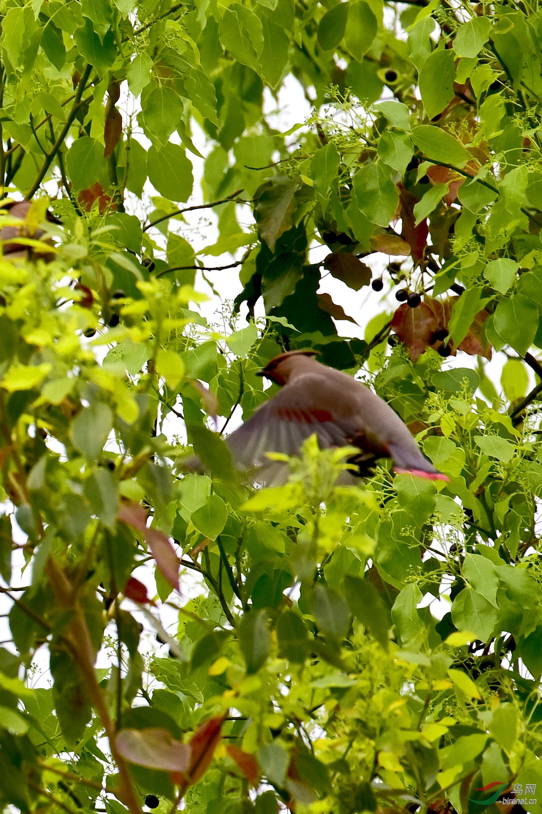 DSC_1204.JPG