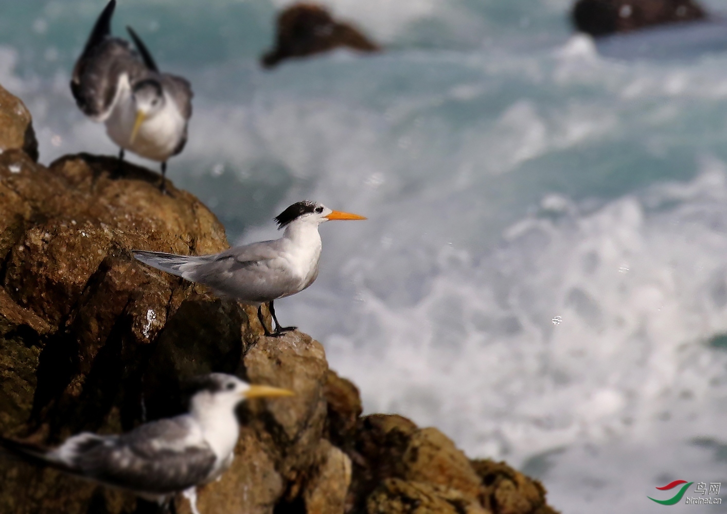 ����09 ��ʦ�����ڹ㶫ʡ������.jpg