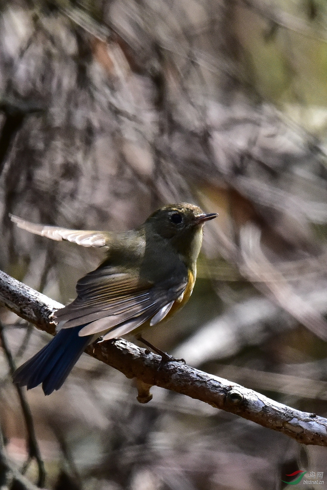 DSC_1055.JPG