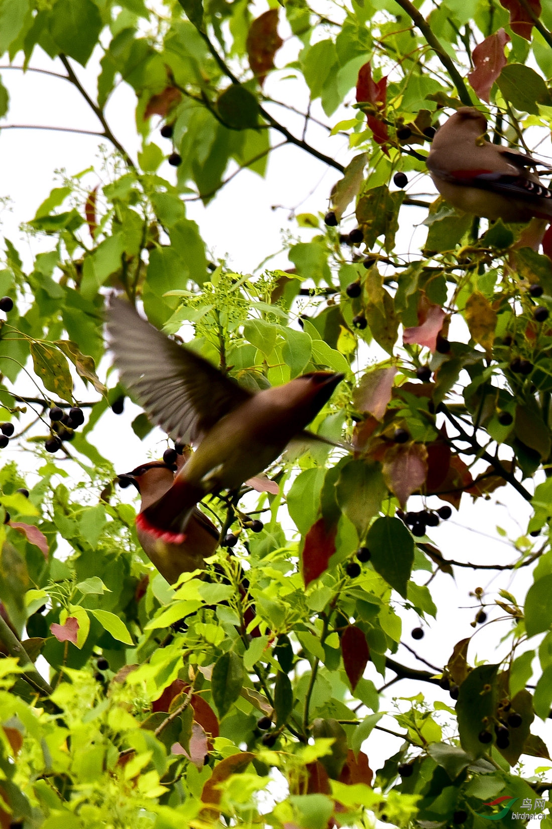 DSC_1206.JPG