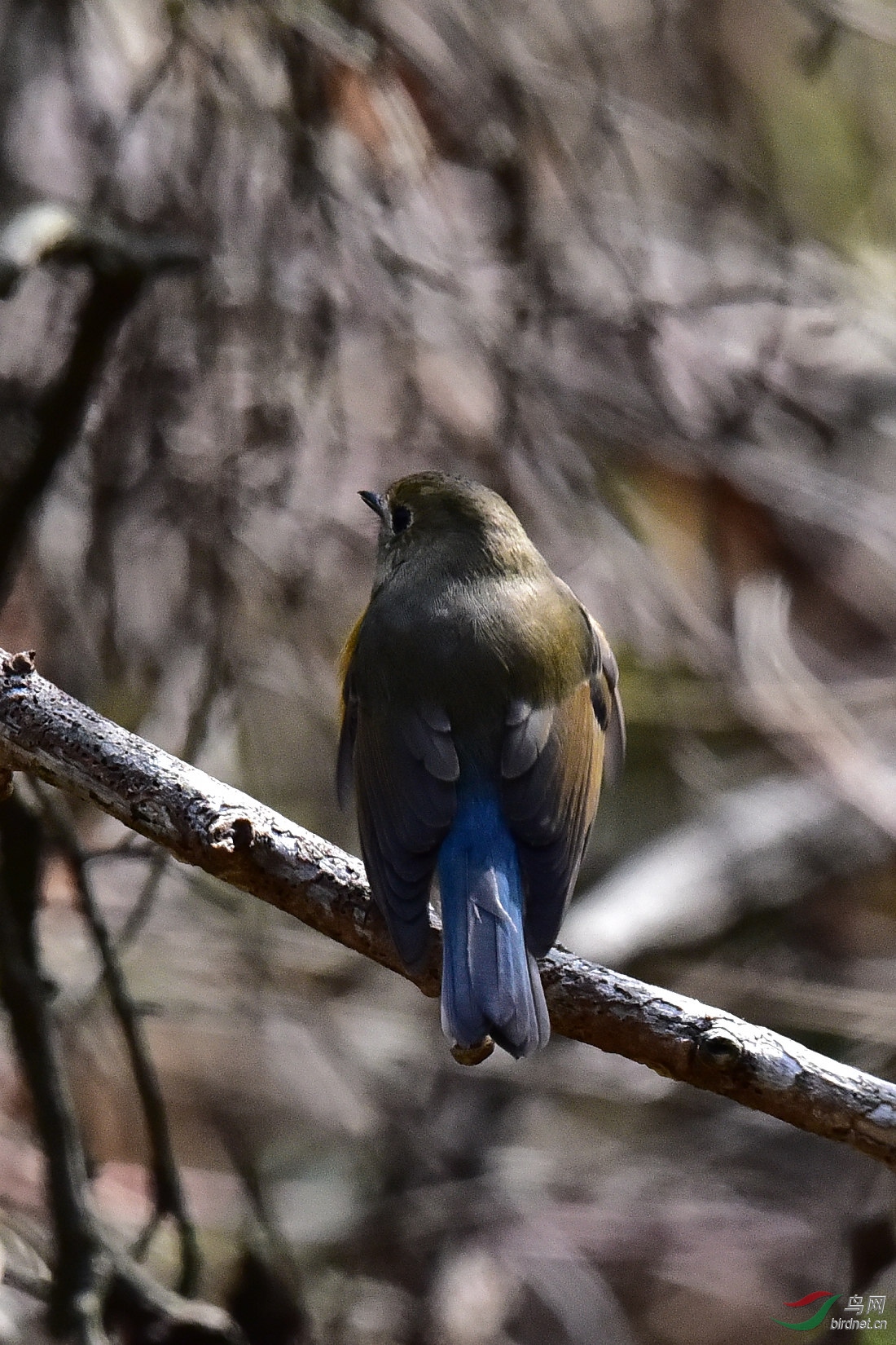 DSC_1059.JPG