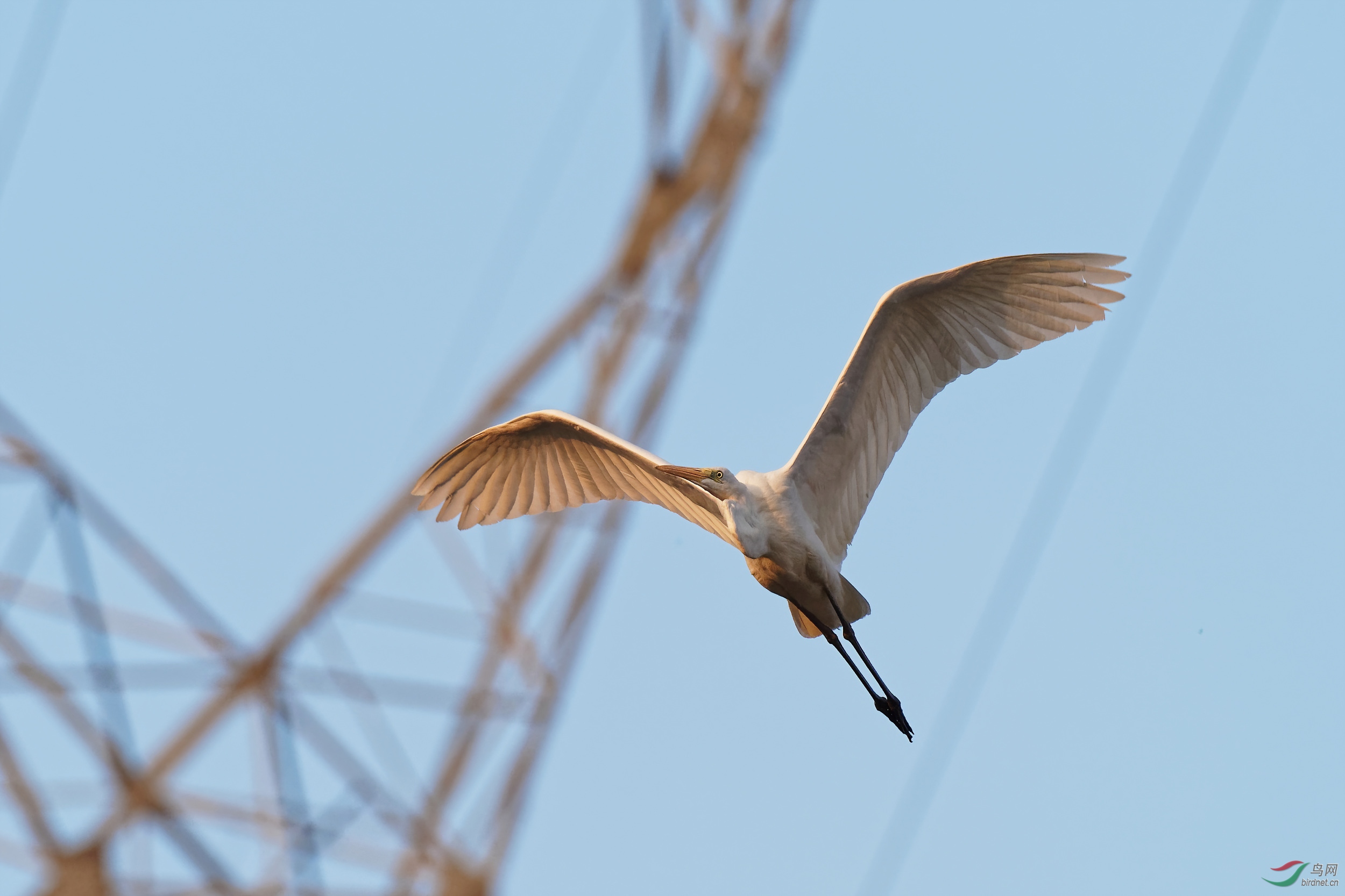 PB180070_DxO-d2.jpg