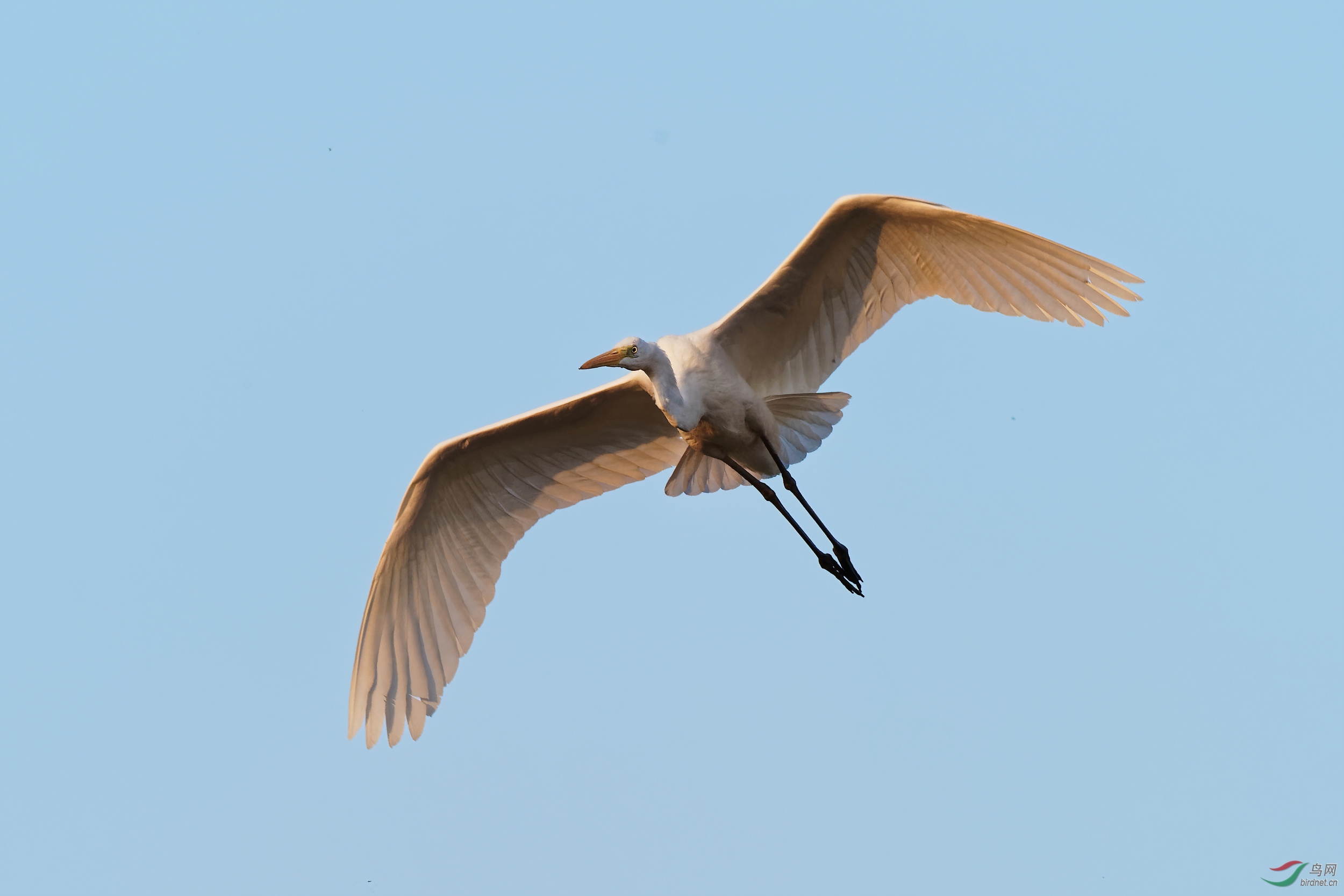 PB180057_DxO-d2.jpg