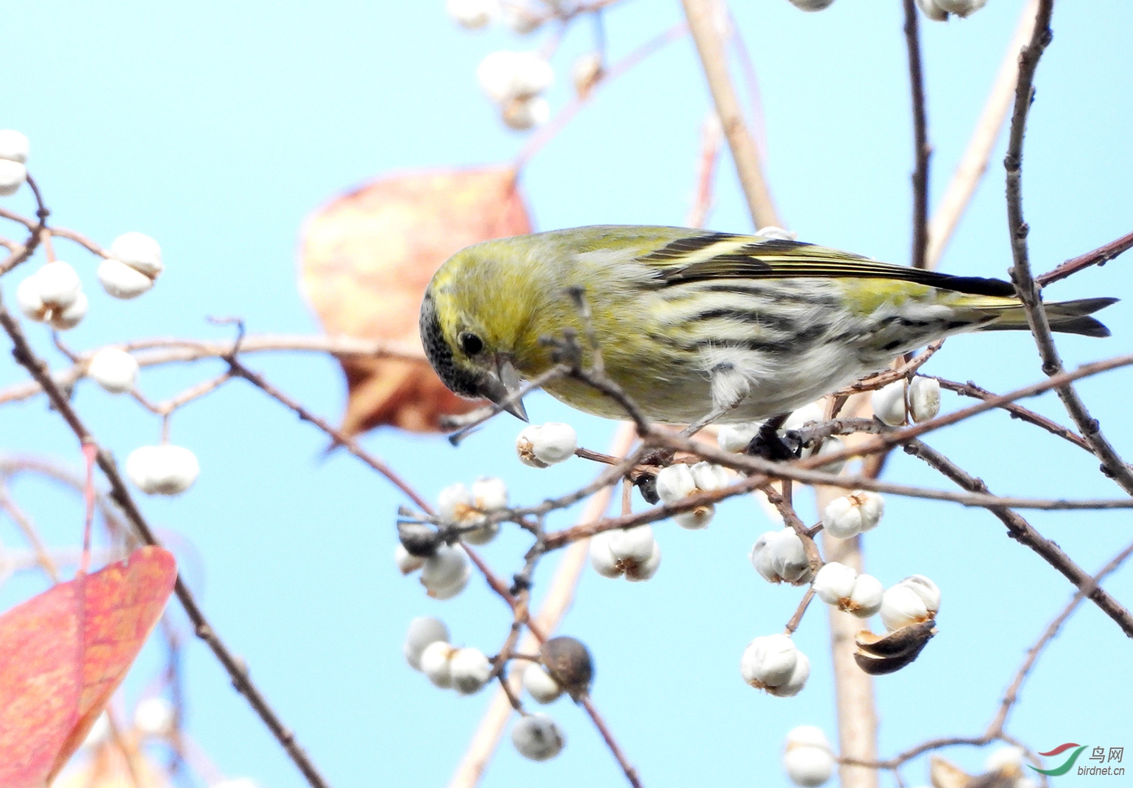 DSCN2737 ����2.jpg