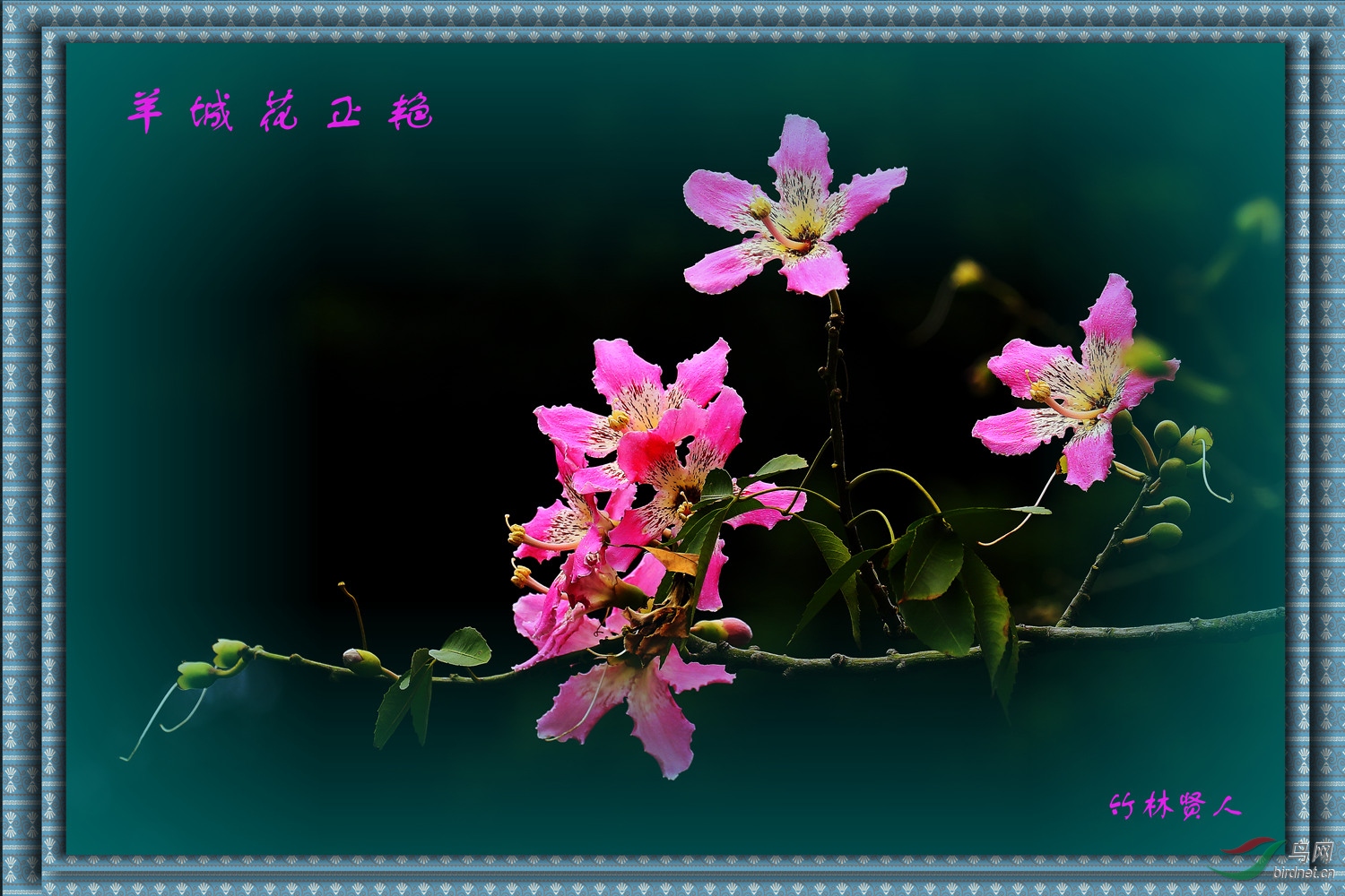 ��ǻ�����