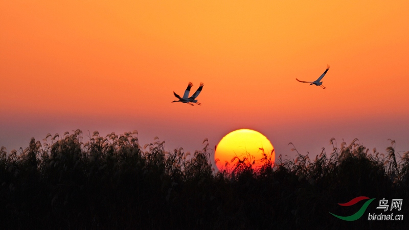 Ϧ���µľ���