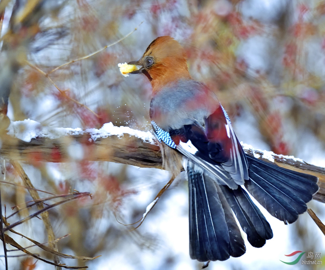 _DSC9396_00001-01-P-2.jpg