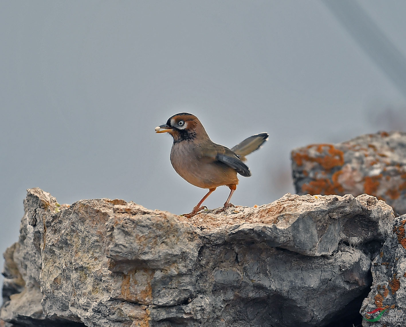 DSC_6654.jpg
