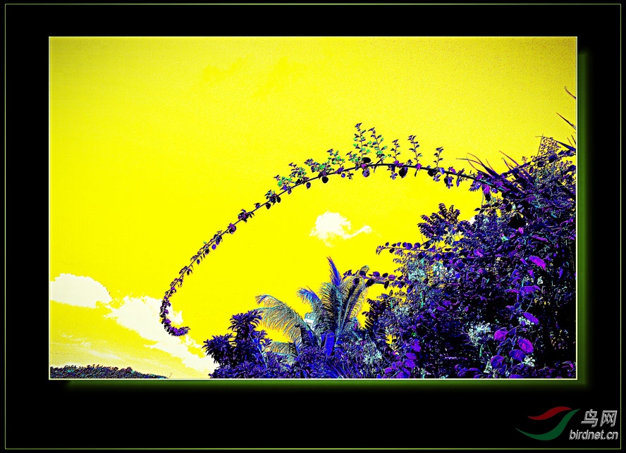 DSC_5663_����_����_����2_����.JPG