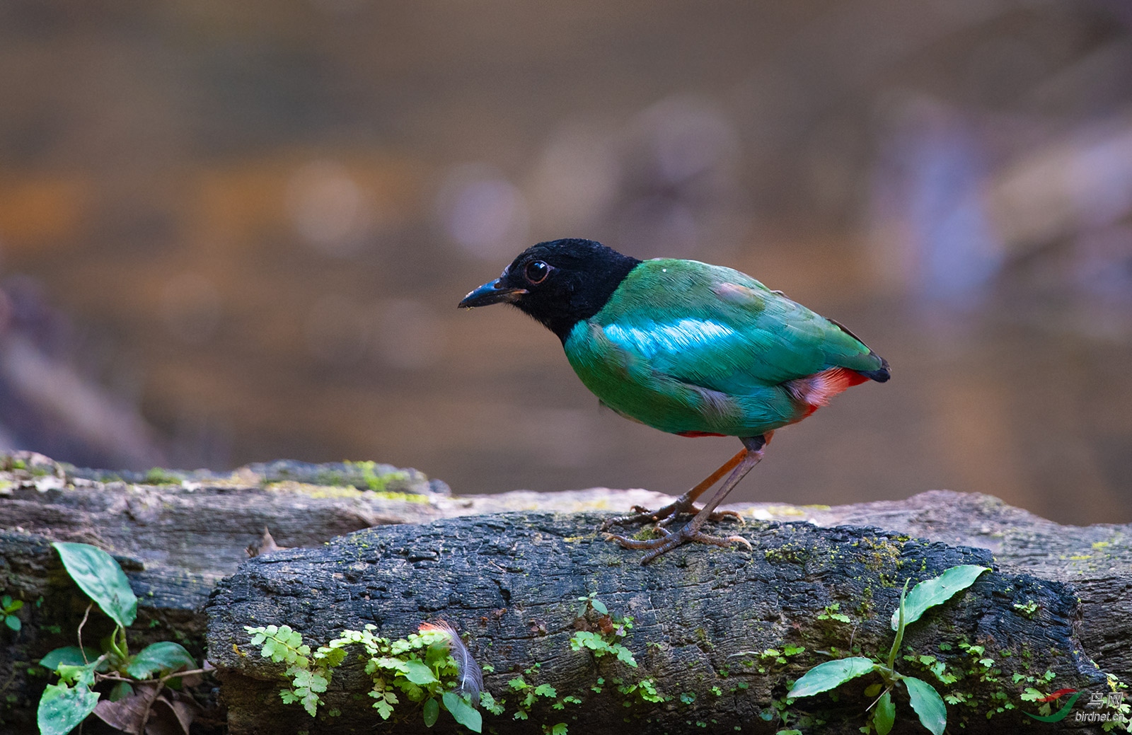 DSC_5045.jpg