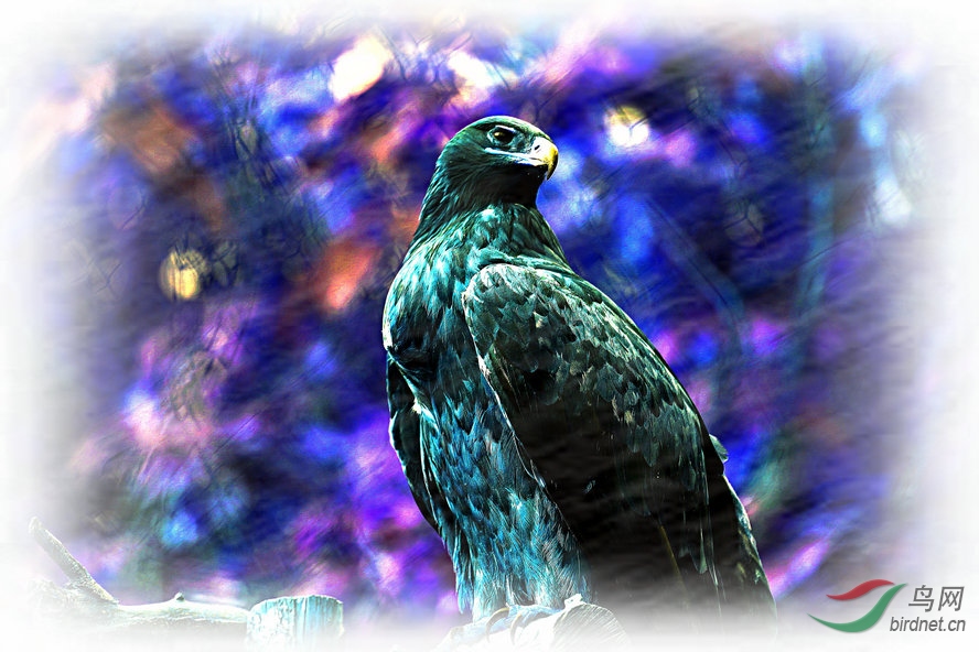 BW6I5032_����_����.jpg