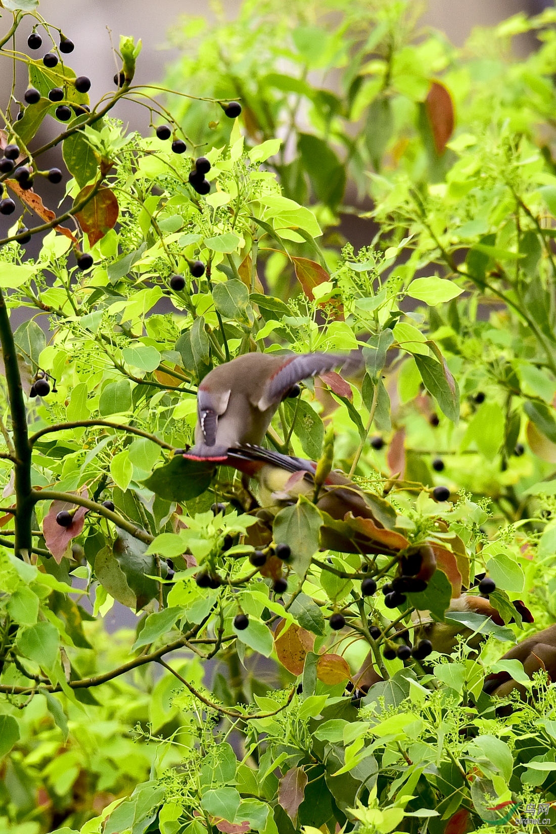 DSC_1219.JPG