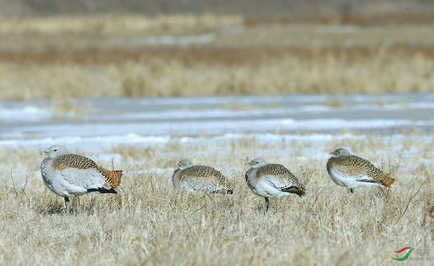 A 3428 ���.jpg