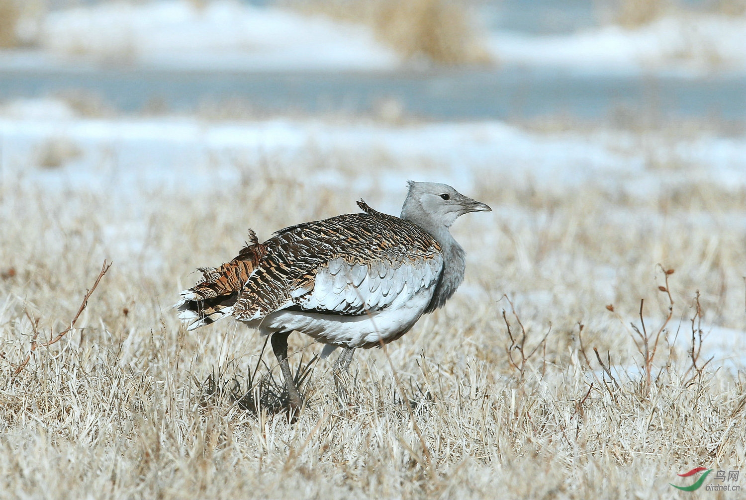 A 3487 ����.jpg