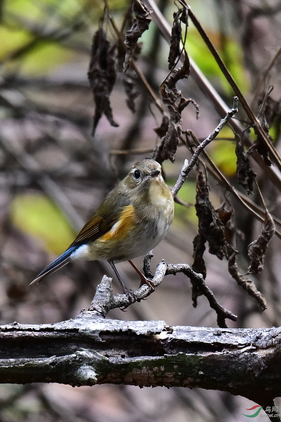 DSC_1076.JPG