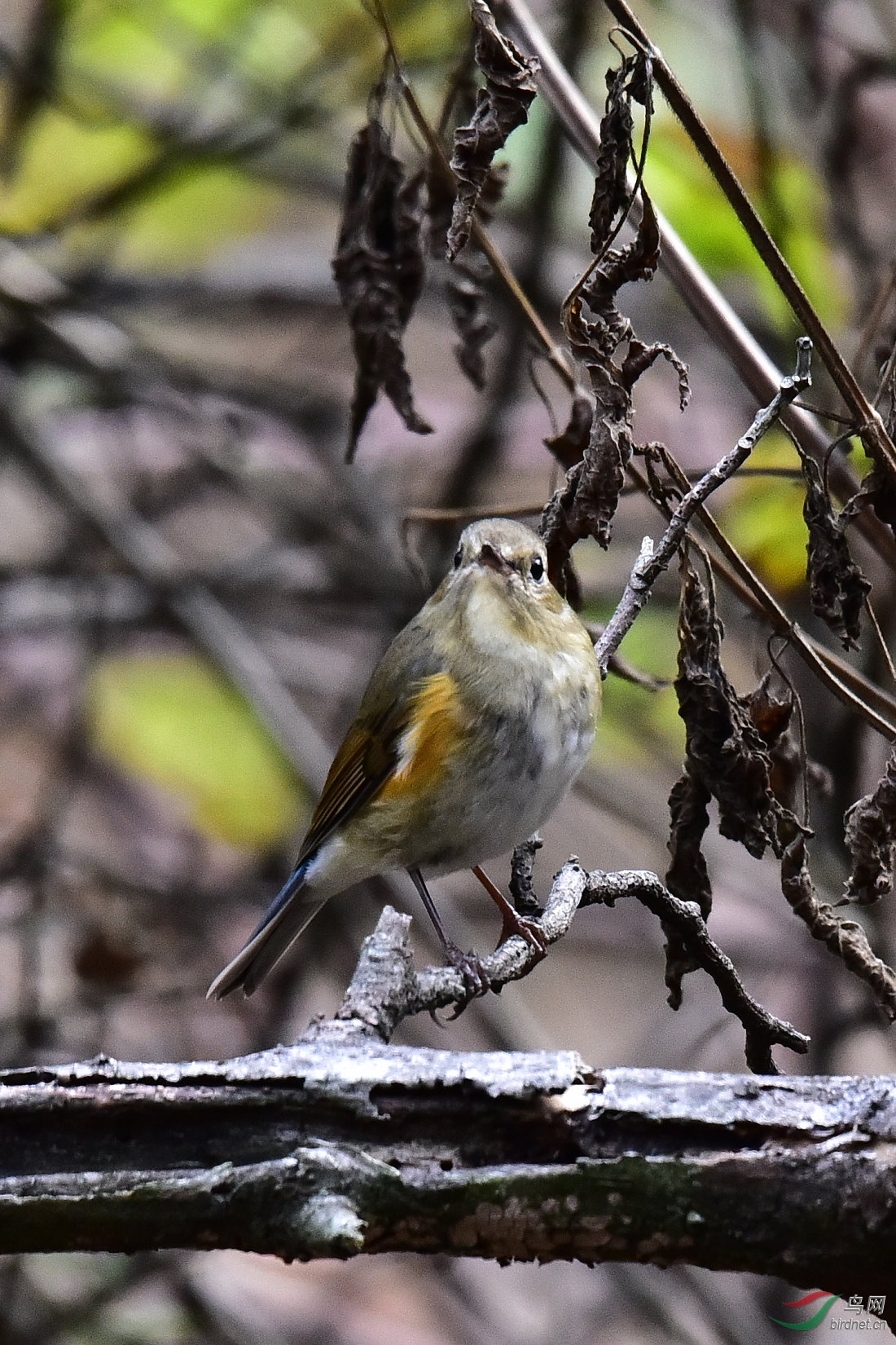 DSC_1078.JPG
