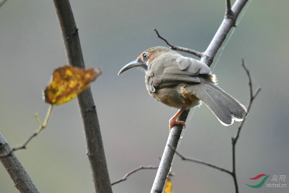 DSC_7776_����.JPG