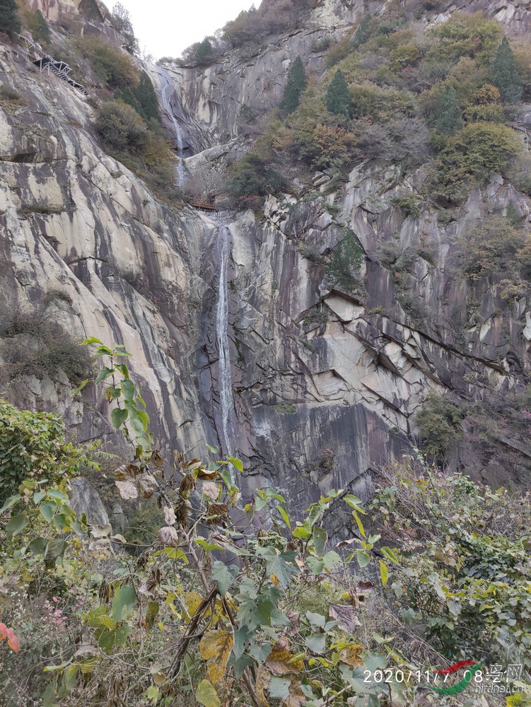 IMG_20201107_082118.jpg
