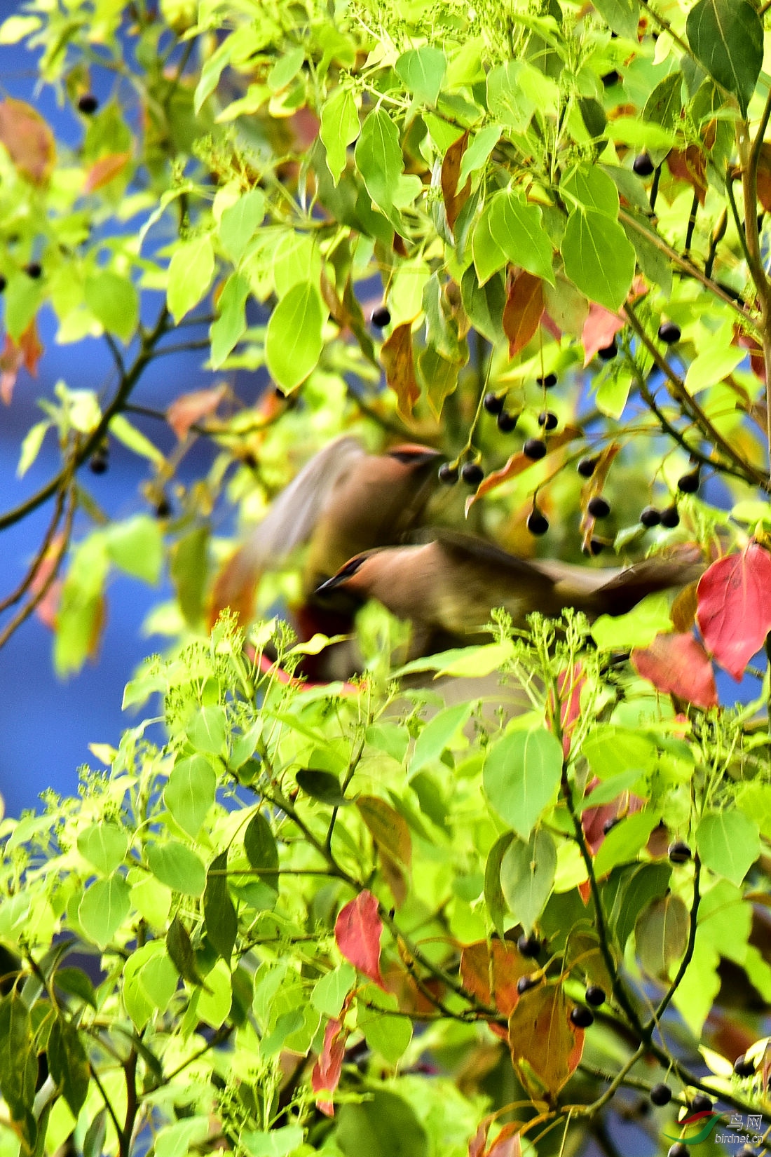 DSC_1232.JPG
