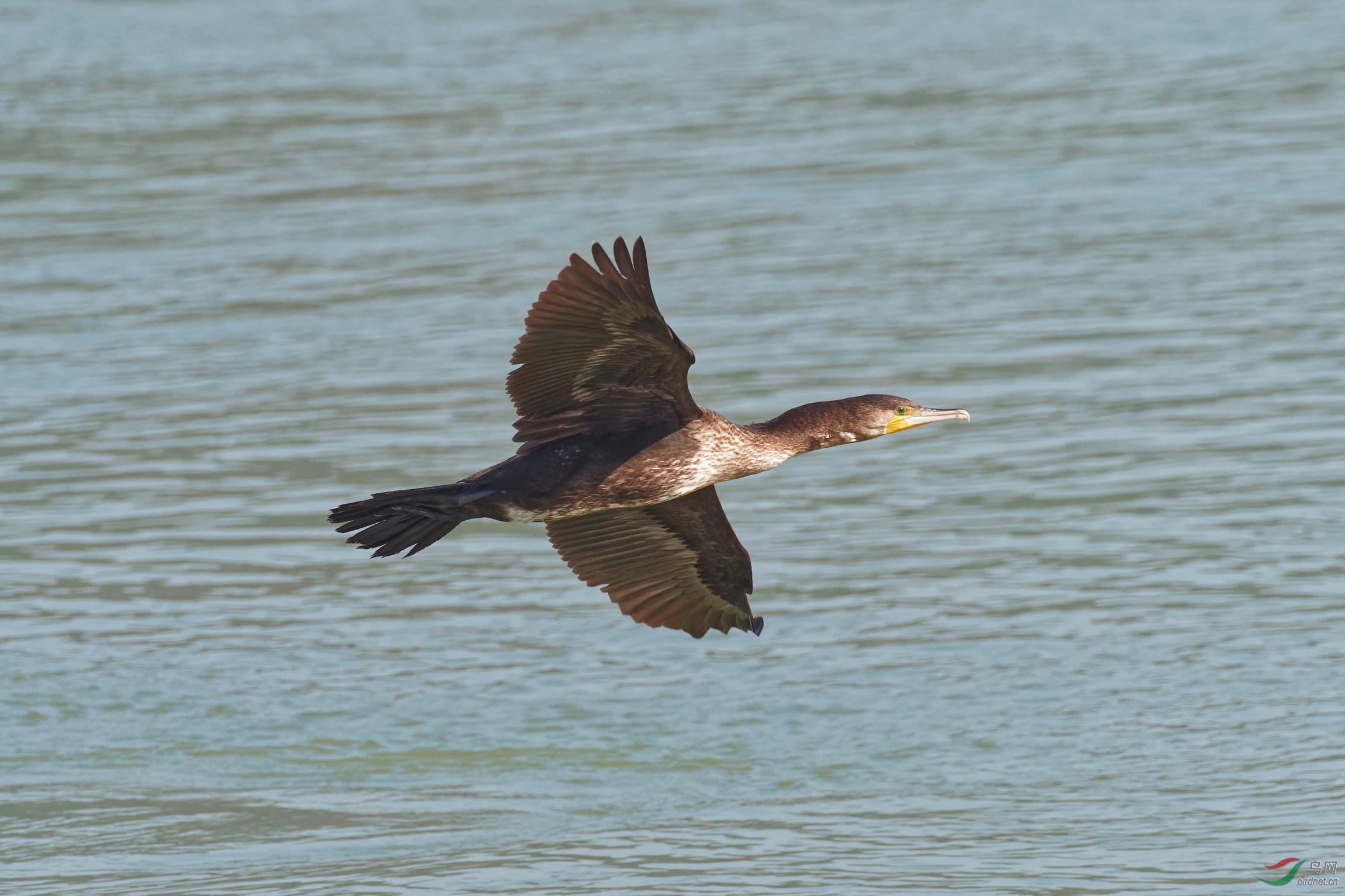 PB120140_DxO-d2.jpg