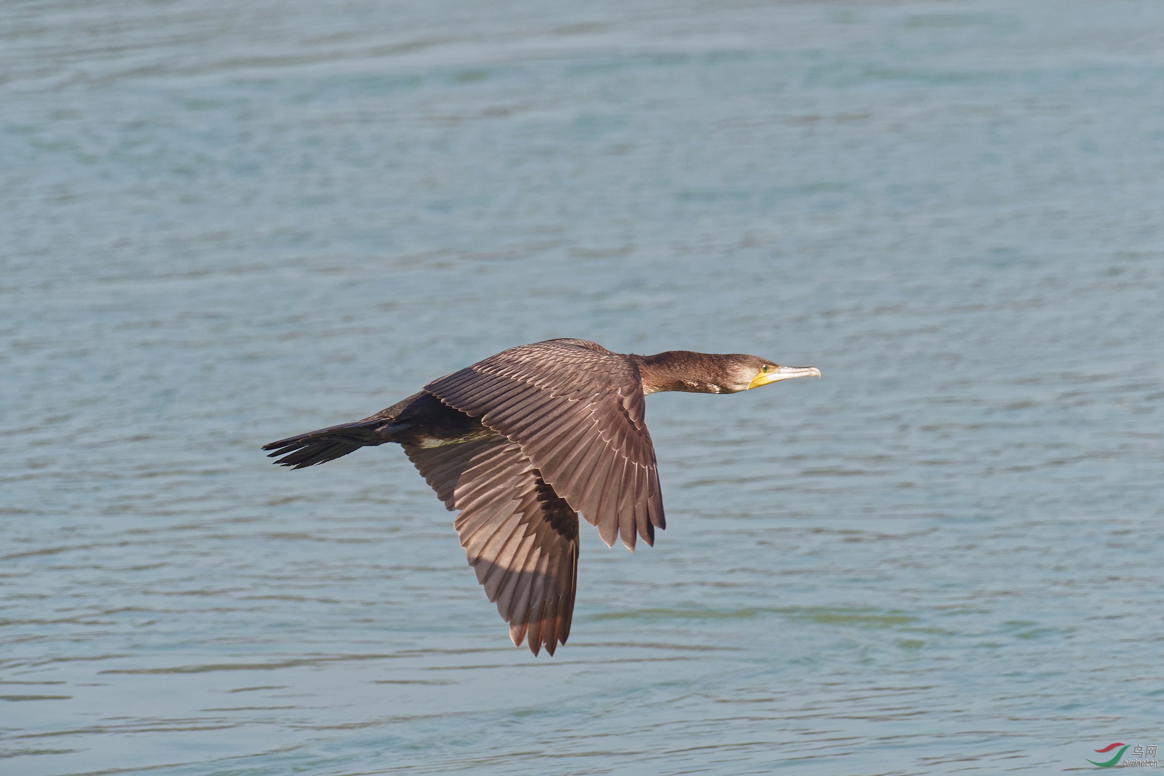 PB120143_DxO-d2.jpg