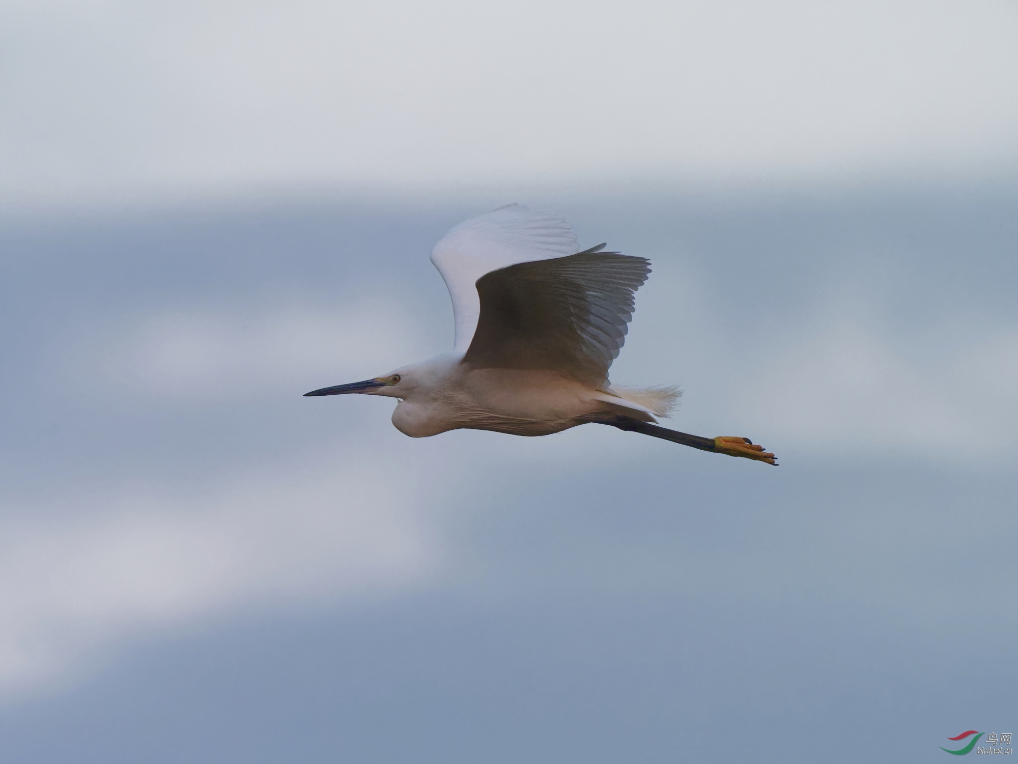 PB190083_DxO-d2.jpg