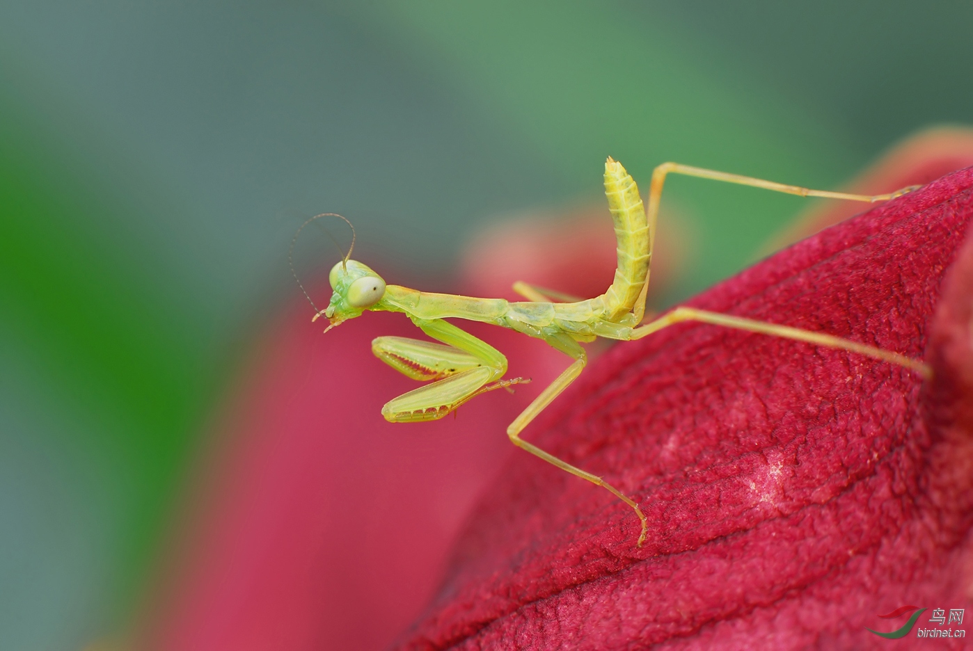 DSC_0146 ��������.jpg