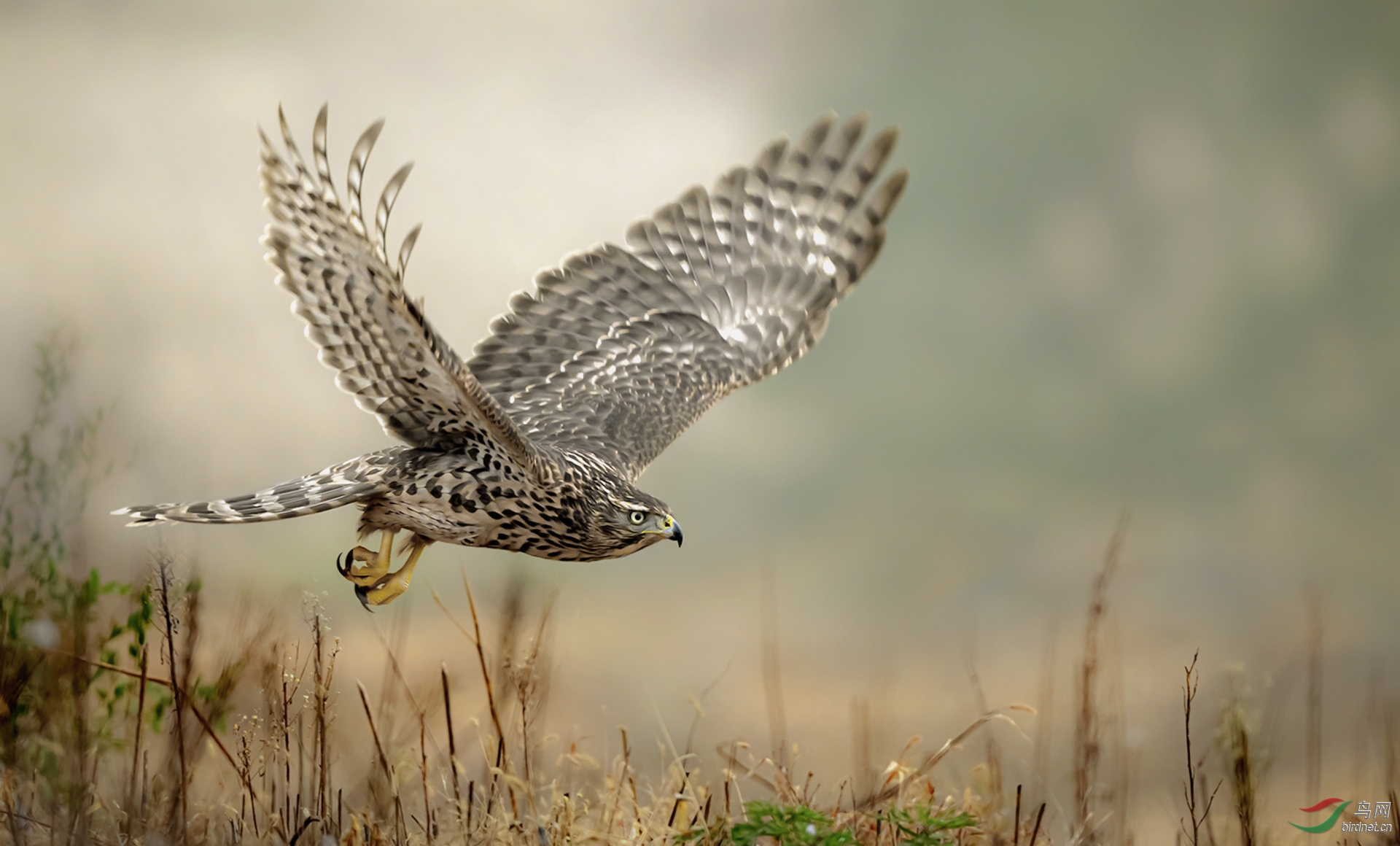 ��Ƭ18.jpg