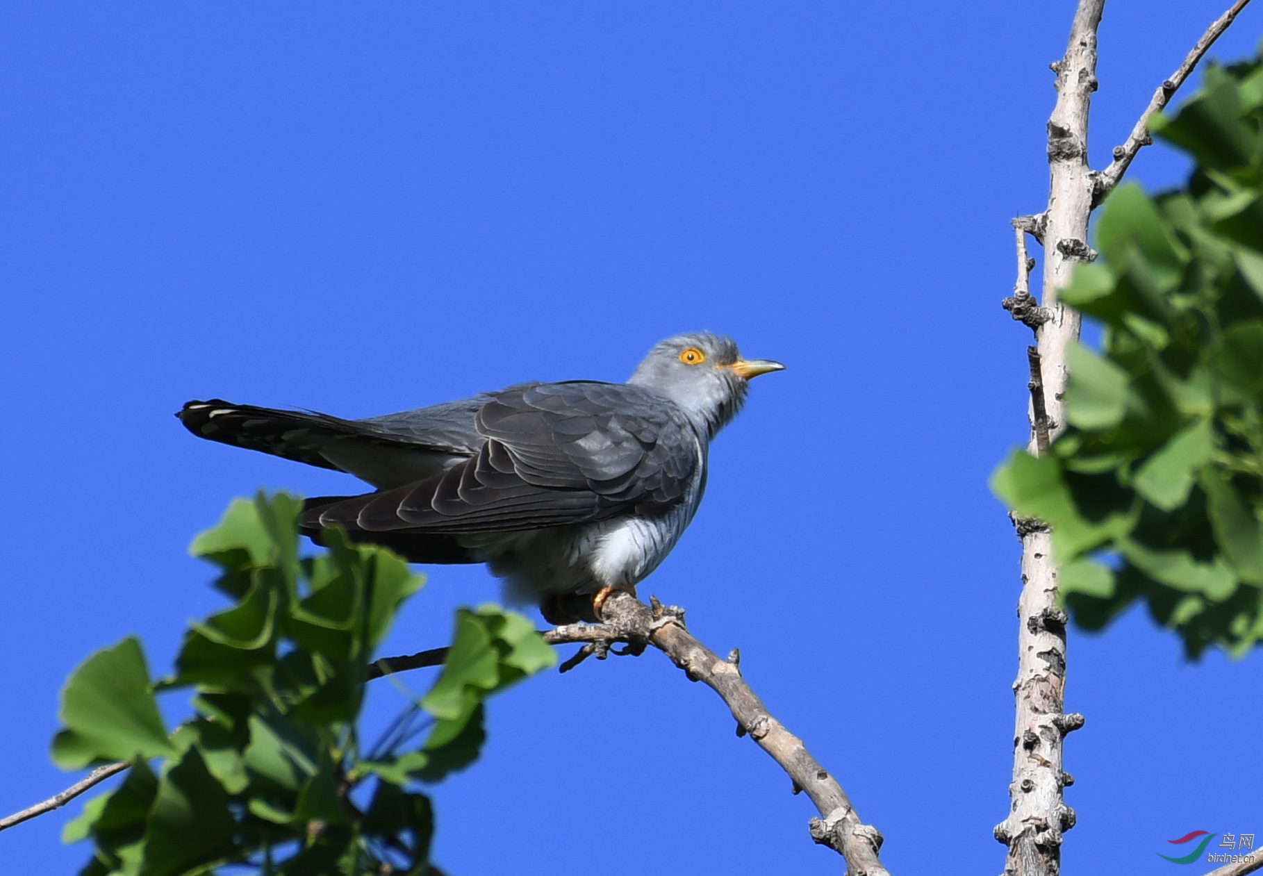 ������Ӱ 3618����.jpg