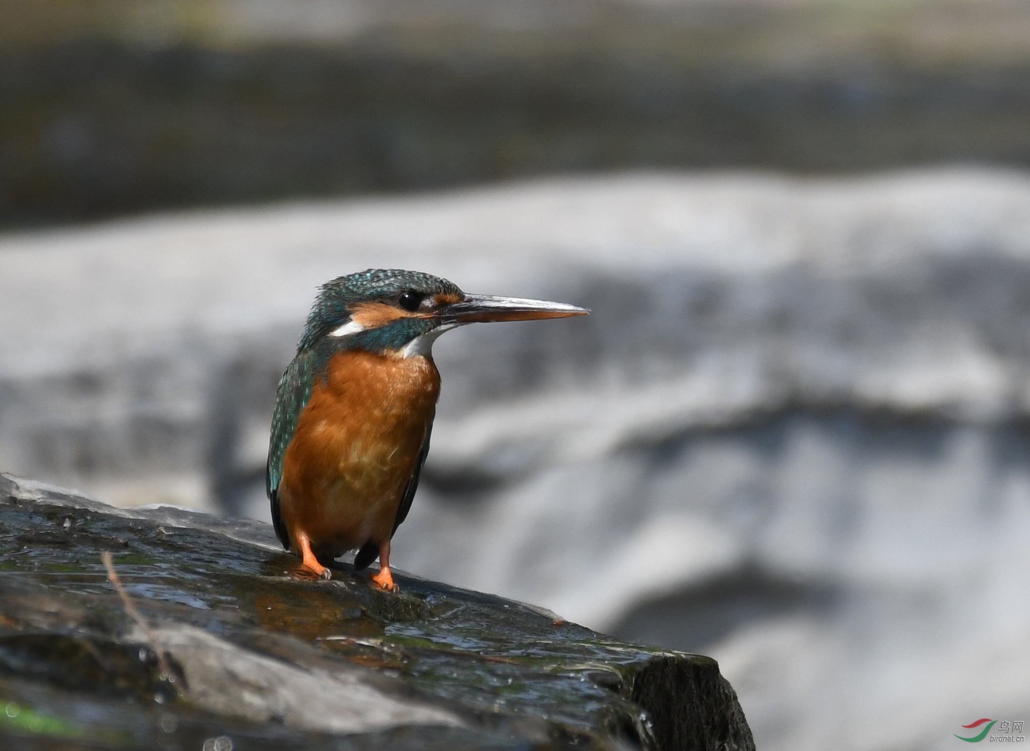 ������Ӱ 5403����.jpg