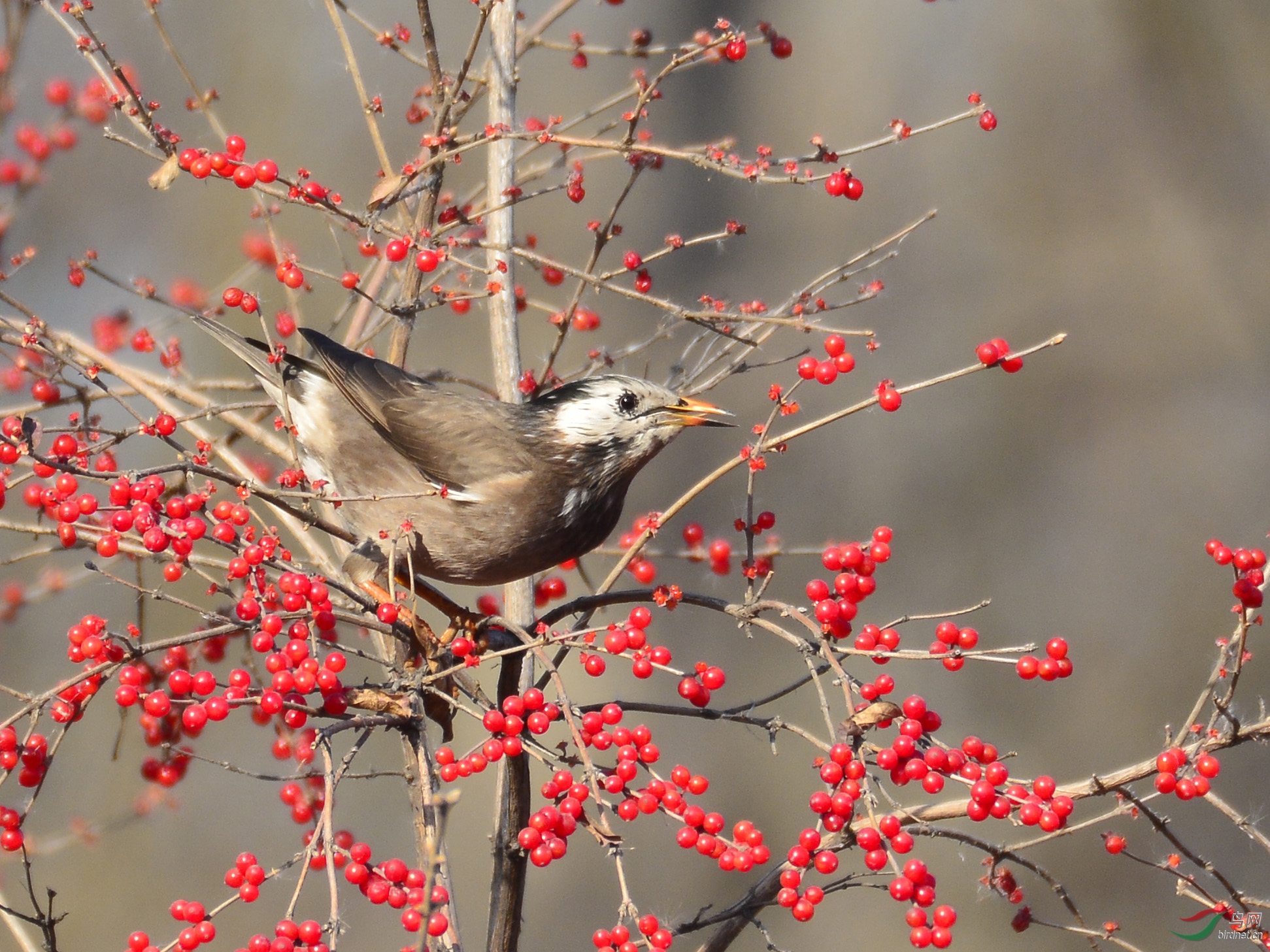 ������Ӱ 041����.jpg