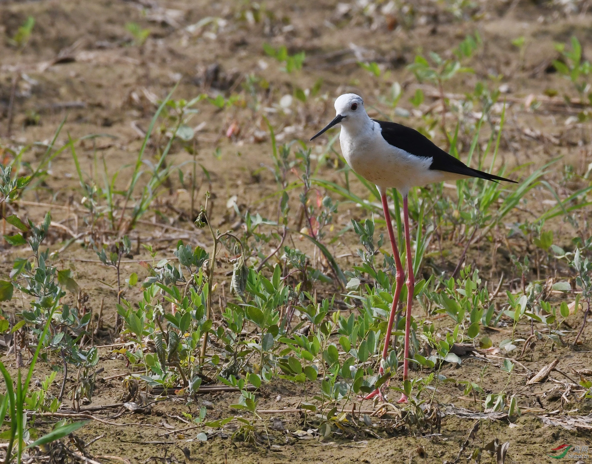 ������Ӱ 280����.jpg