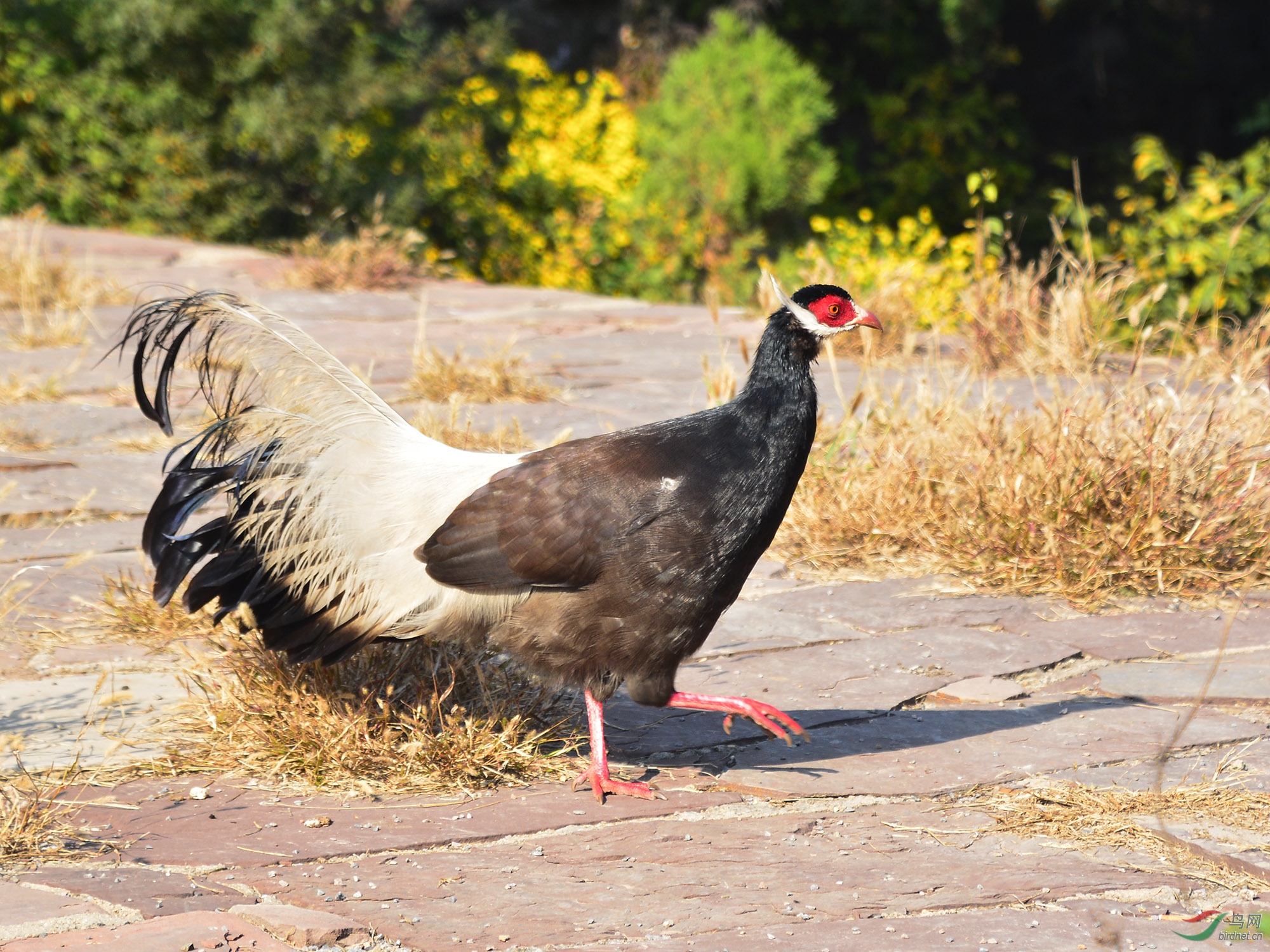 ������Ӱ 334����.jpg