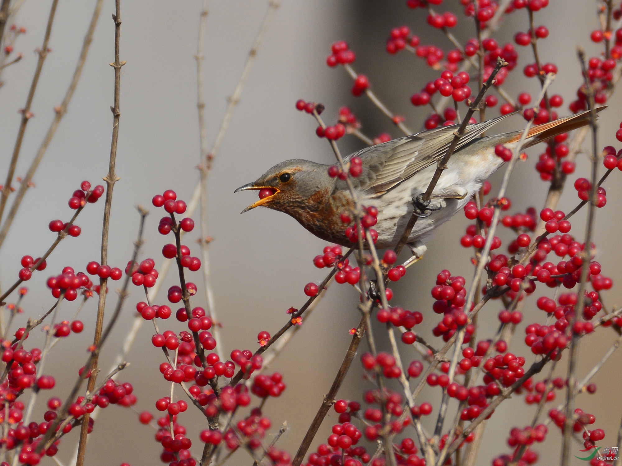 ������Ӱ 783����.jpg