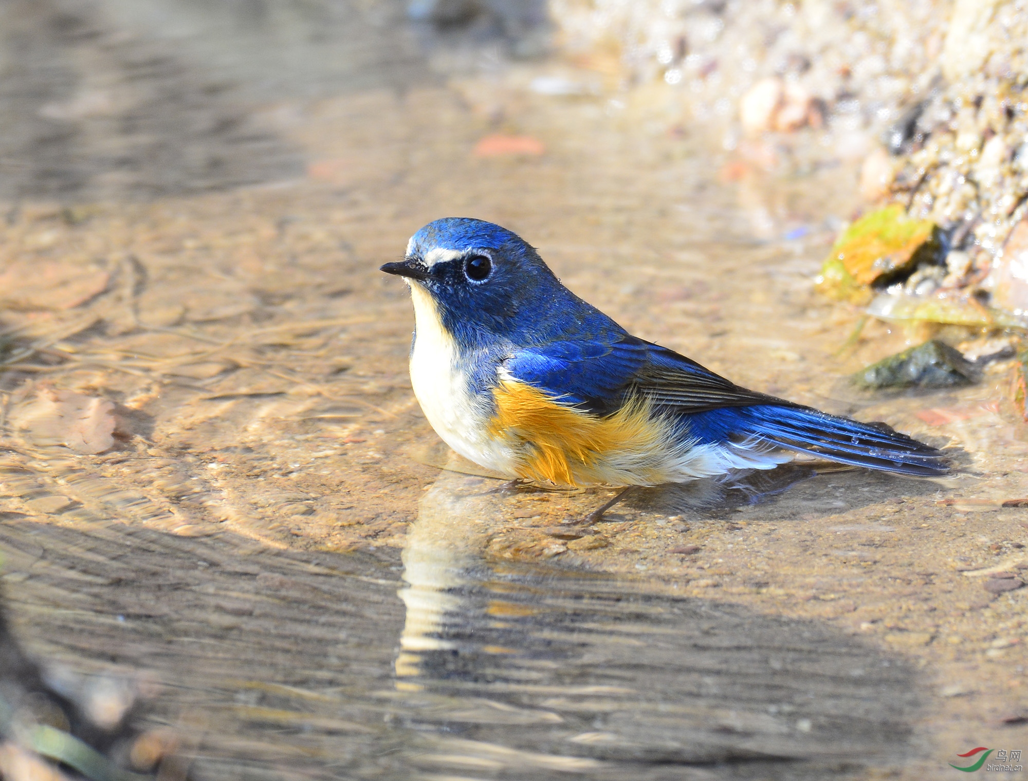 ������Ӱ 817����.jpg