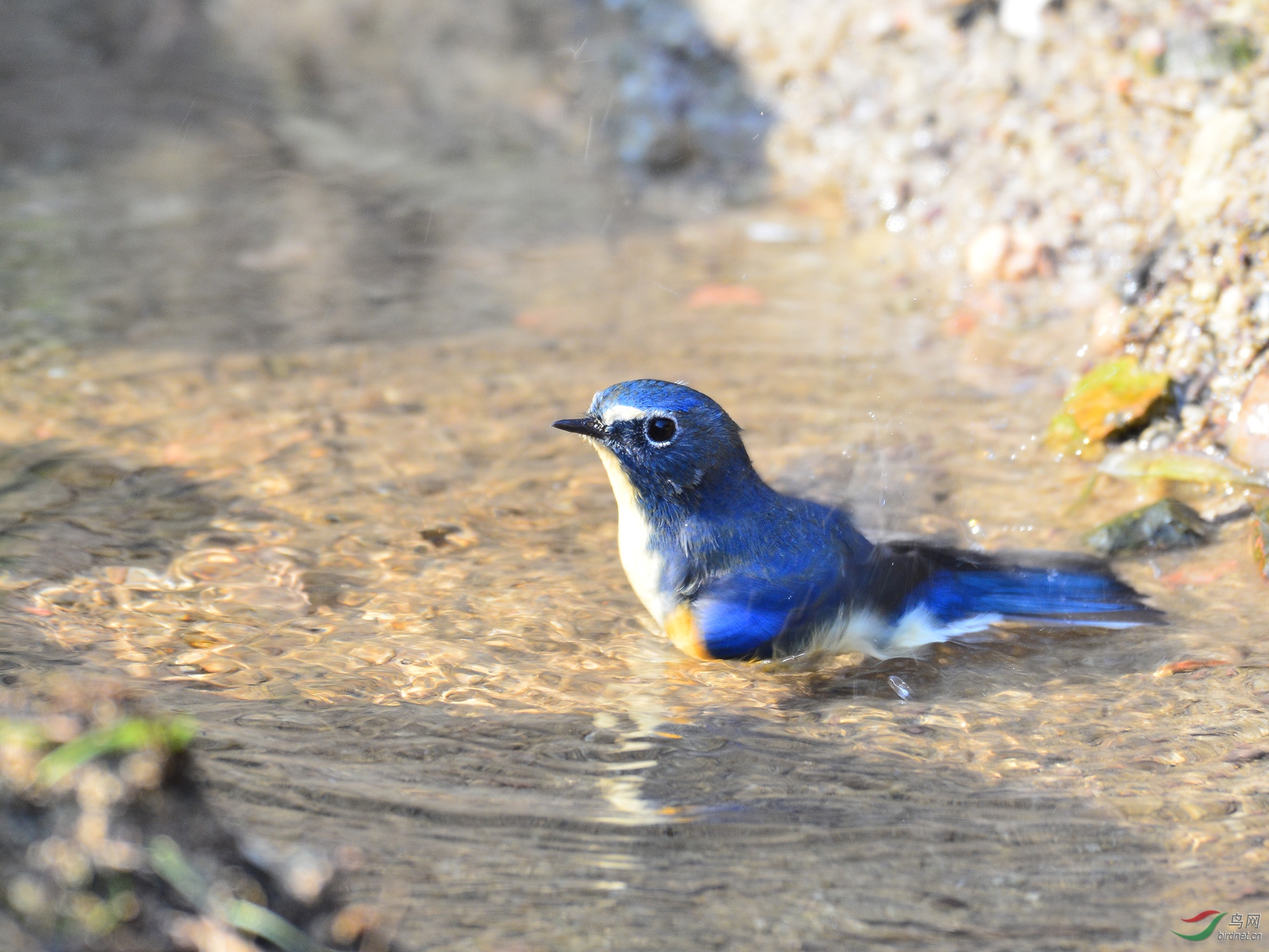 ������Ӱ 819����.jpg