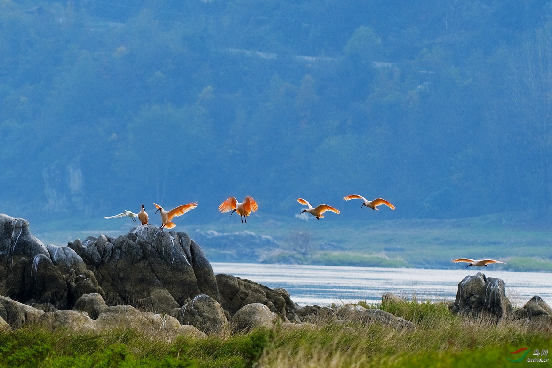 DSC_0586-Exposure (1)_����_����.jpg