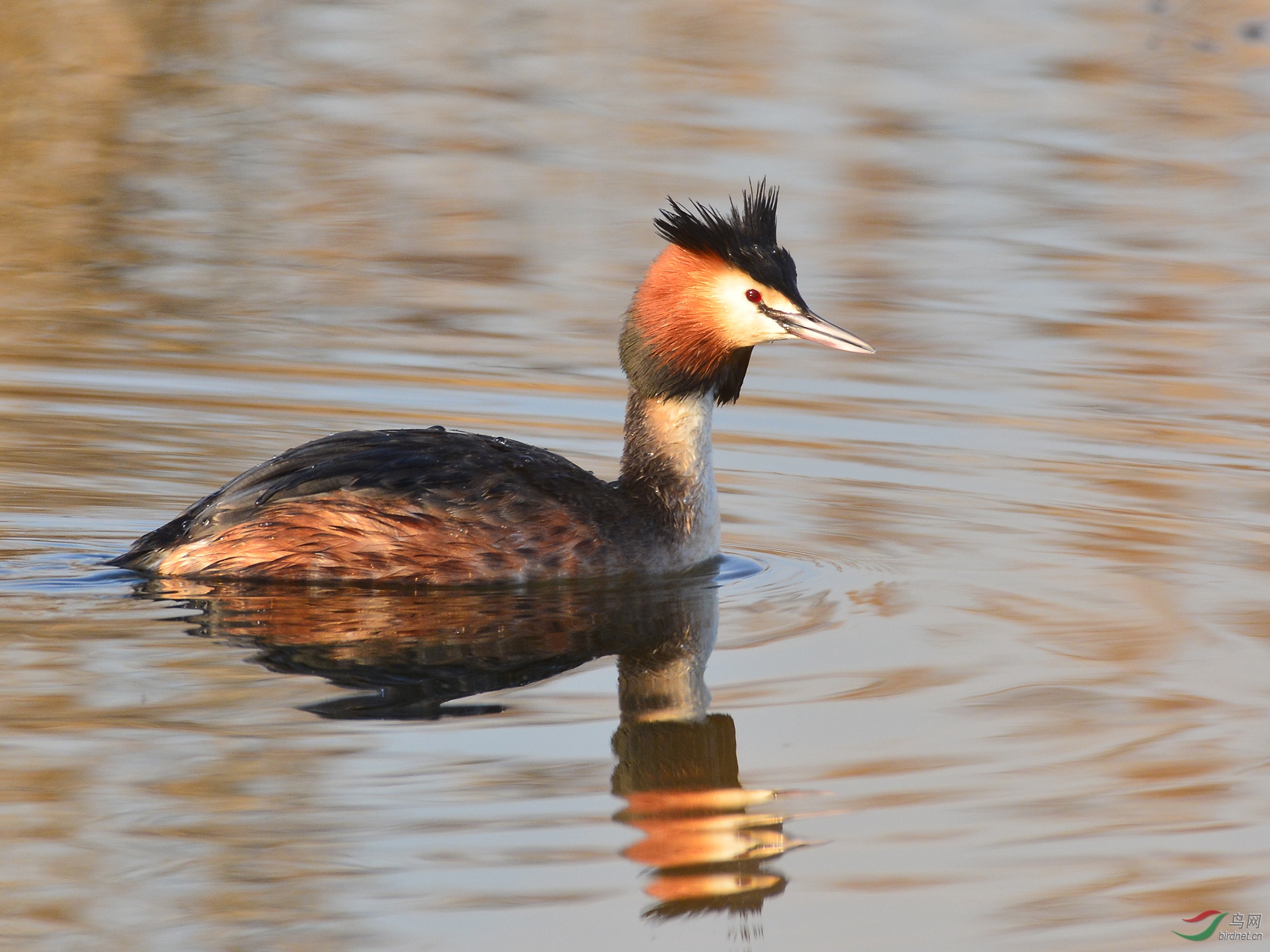 ������Ӱ 041����.jpg