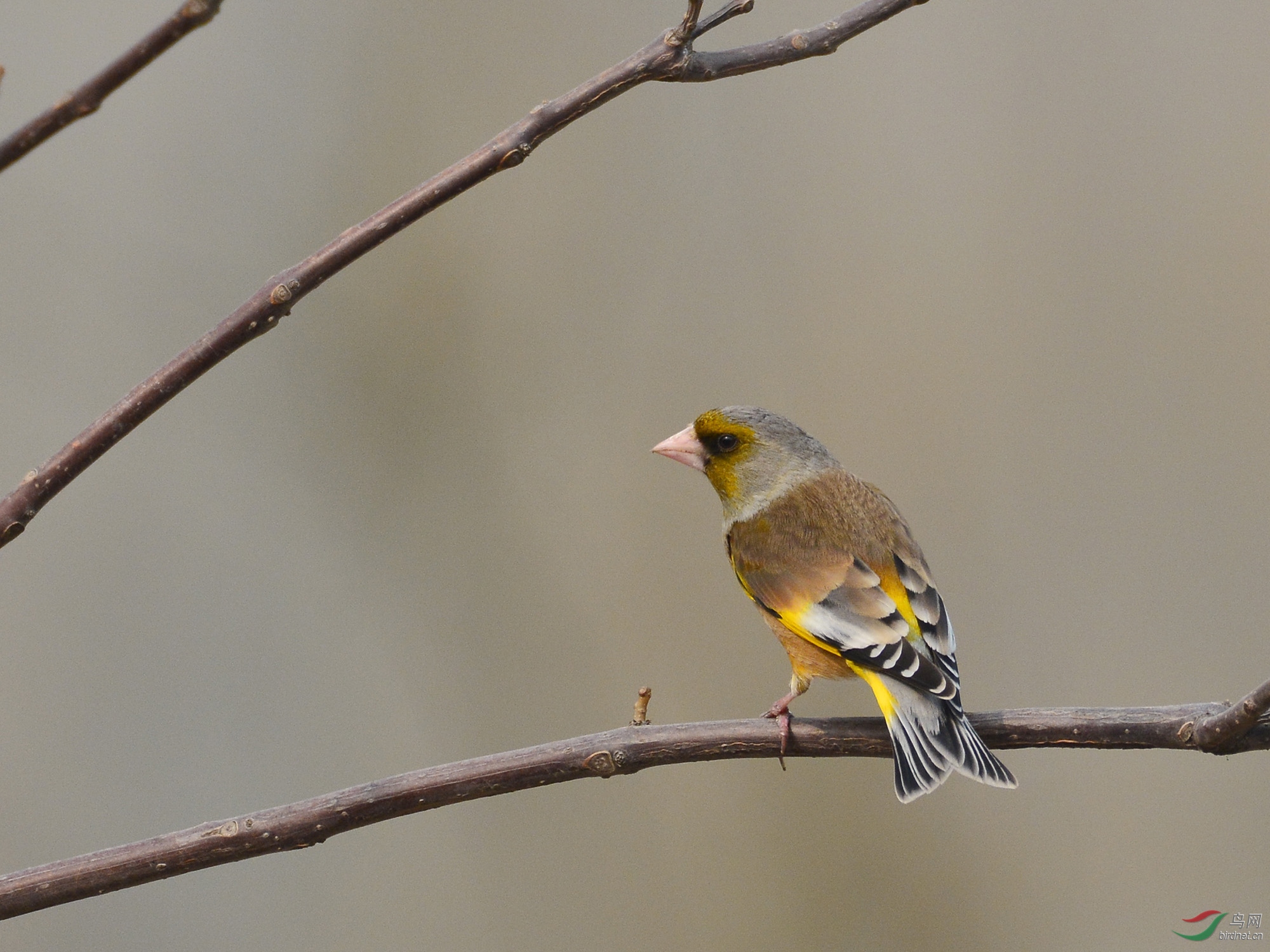 ������Ӱ 109����.jpg