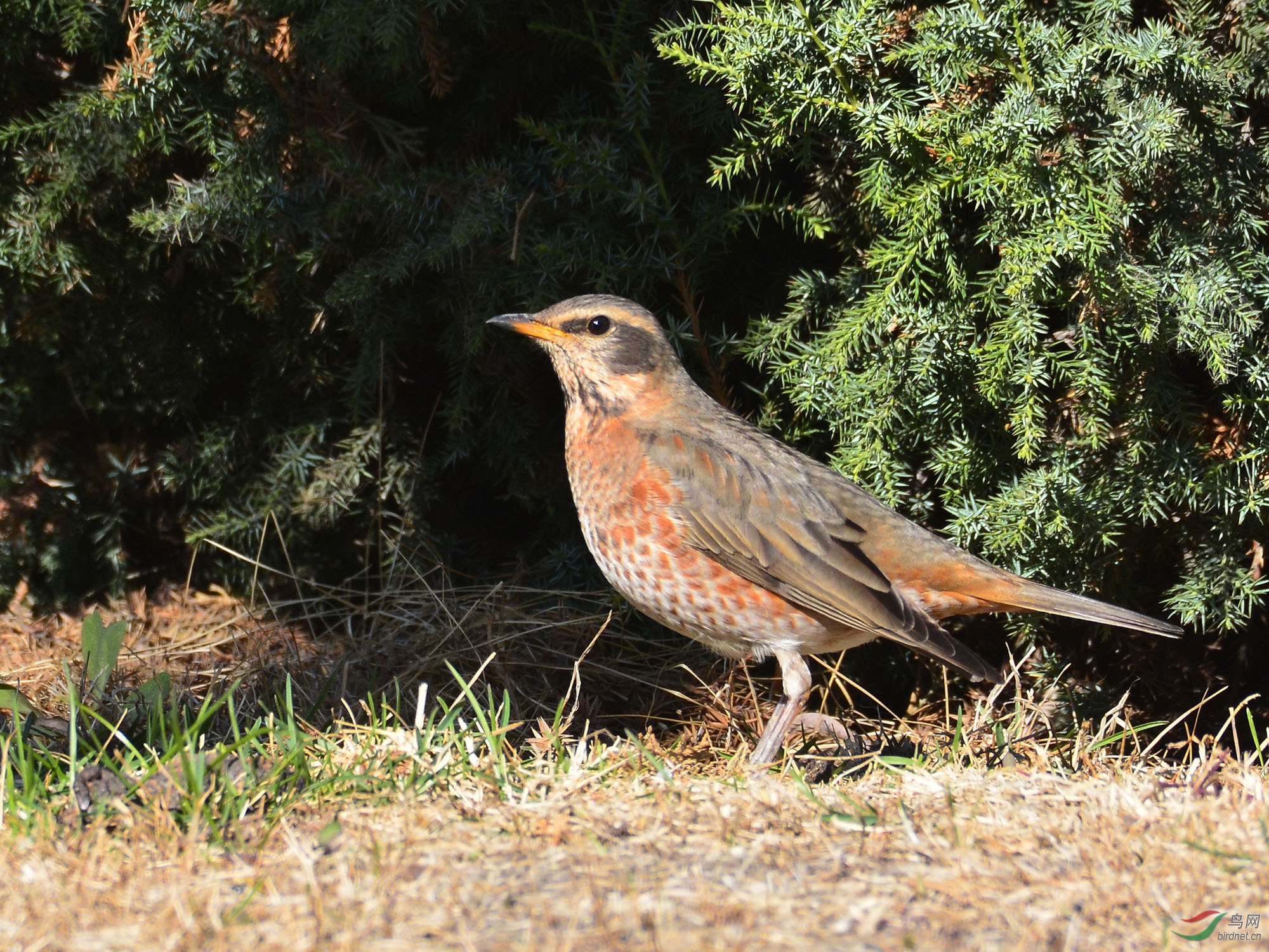 ������Ӱ 122����.jpg