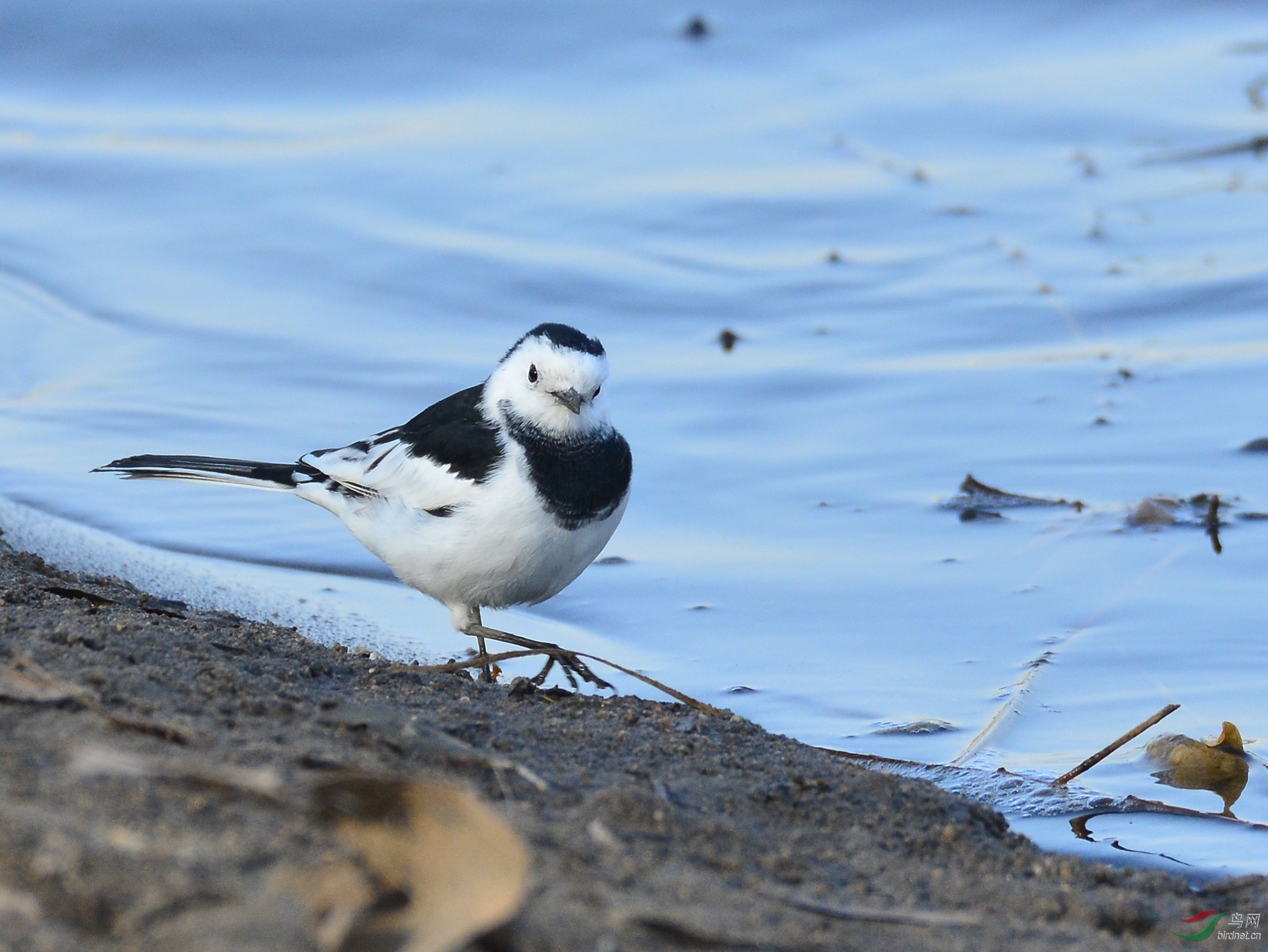 ������Ӱ 306����.jpg