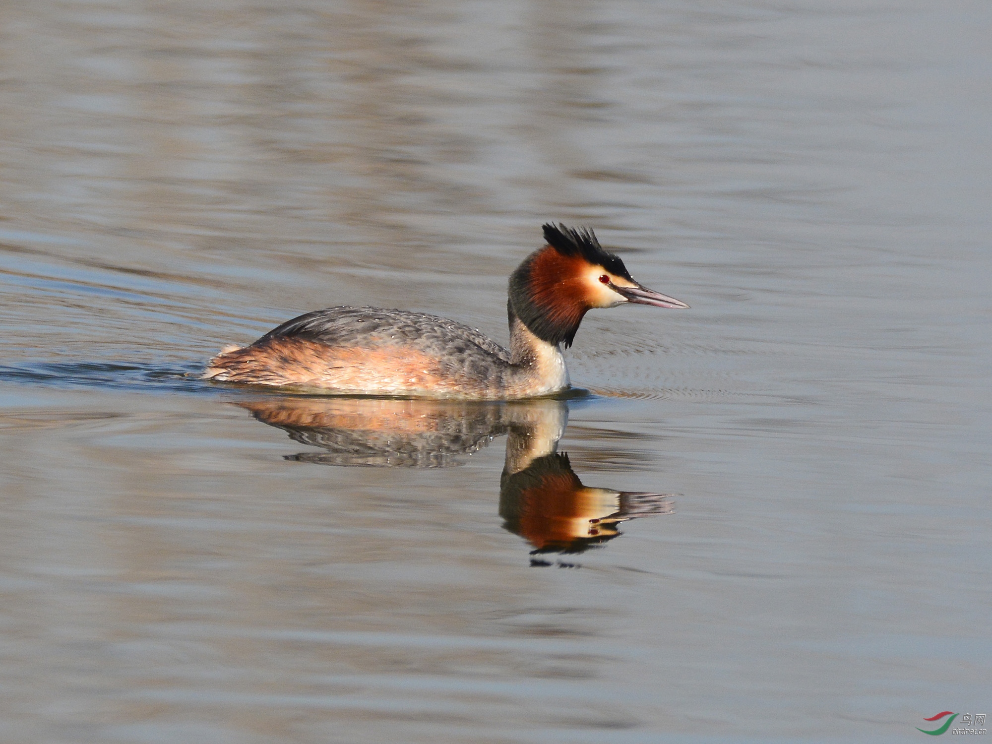 ������Ӱ 760����.jpg